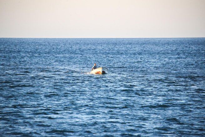morje savudrija ribic morski mesec jadransko morje posnetek riba