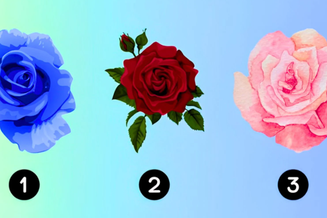 Katero vrtnico ste izbrali? Psihološki test, ki razkriva, kakšen je vaš idealni partner