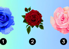 Katero vrtnico ste izbrali? Psihološki test, ki razkriva, kakšen je vaš idealni partner