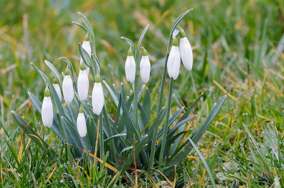 Fotografija je simbolična. (foto: Profimedia)