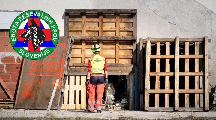 V Mercatorjevem projektu Srčna soseska lahko tokrat podprete ta tri izjemna društva