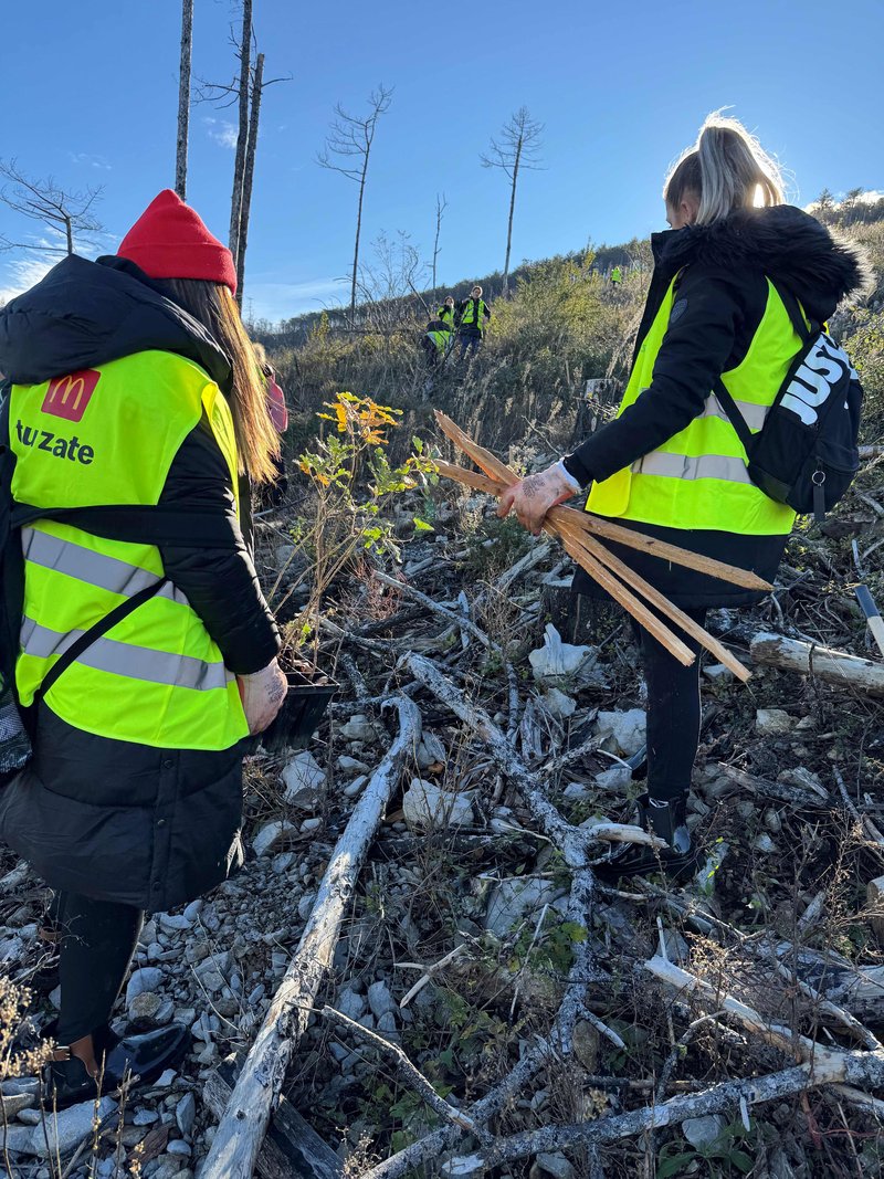 McDonald's posadil 3.000 novih dreves