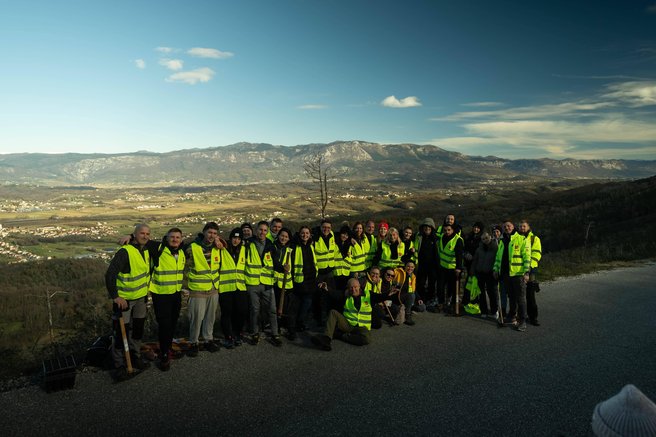 McDonald's posadil 3.000 novih dreves