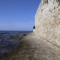 novigrad hrvaska truplo delfin morje jadransko morje zivali smrt grozljivo