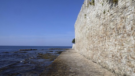 novigrad hrvaska truplo delfin morje jadransko morje zivali smrt grozljivo
