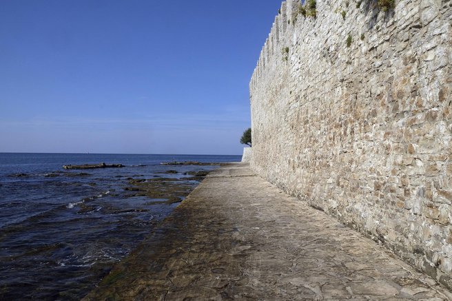 novigrad hrvaska truplo delfin morje jadransko morje zivali smrt grozljivo
