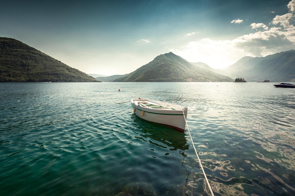 Na Jadranu se pod morsko gladino dogaja pravi masaker: obupani ribiči na robu obupa, prave rešitve pa sploh ni (foto: Profimedia)