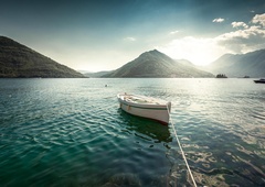 Na Jadranu se pod morsko gladino dogaja pravi masaker: obupani ribiči na robu obupa, prave rešitve pa sploh ni