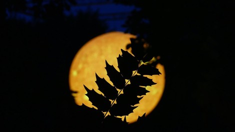 vesolje nasa sonce zemlja izbruh tezave omrezje nevarnost opozorilo