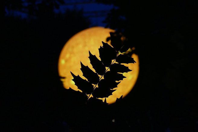 vesolje nasa sonce zemlja izbruh tezave omrezje nevarnost opozorilo