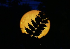 NASA izdala preteče opozorilo: Zemlji grozi nevarnost iz vesolja, lahko bi nas dosegla že v nekaj urah!