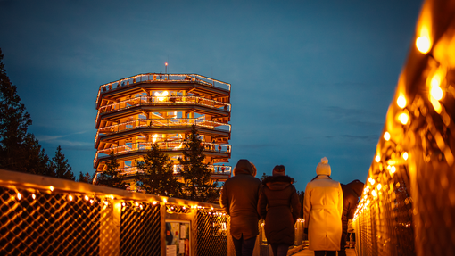 Nevidni svet – veččutna razstava med krošnjami Pohorja