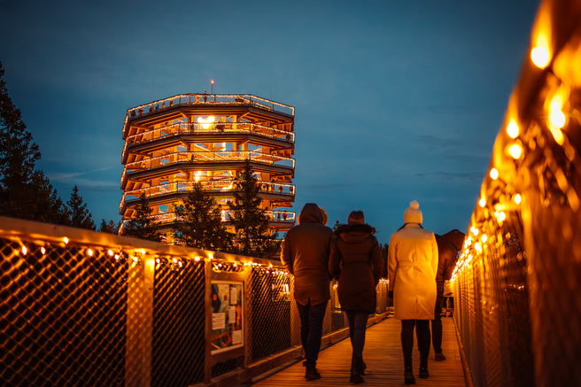 Nevidni svet – veččutna razstava med krošnjami Pohorja