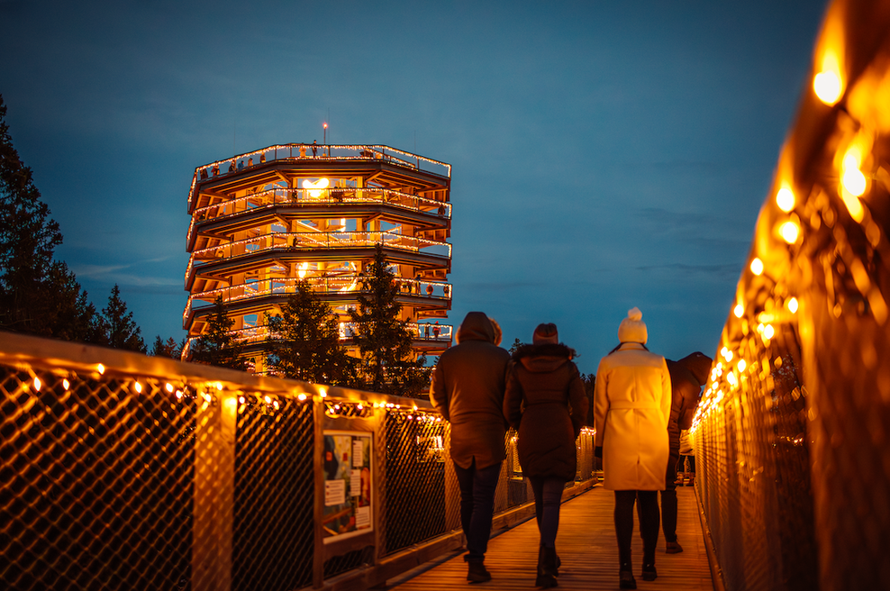 Nevidni svet – veččutna razstava med krošnjami Pohorja (foto: Domen Hohler)