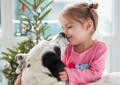 Kaj pomeni, če vas pes liže? Nekateri mislijo, da so to poljubi, a resnica je takšna (pojasnjujejo strokovnjaki)