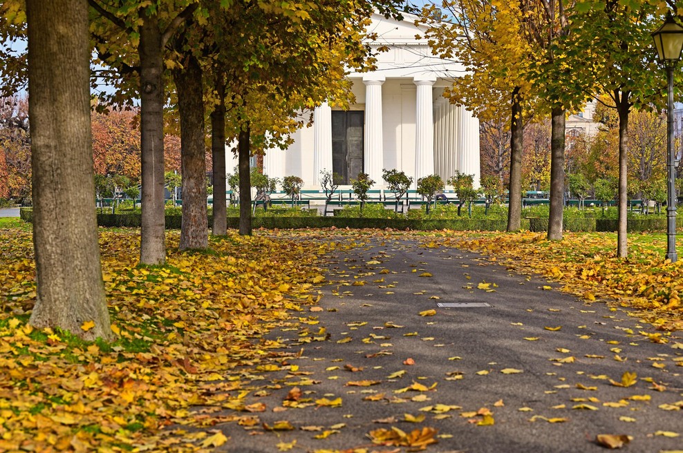 Velika inovacija pri sosedih: v prestolnici Avstrije po novem rastejo pametna drevesa (foto: Profimedia)