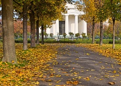 Velika inovacija pri sosedih: v prestolnici Avstrije po novem rastejo pametna drevesa