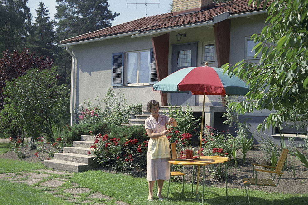 To starodavno rastlino zaščite in zdravja bi morala imeti vsaka hiša (je naravno zdravilo za številne težave) (foto: Profimedia)