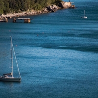 jadran jadransko morje morski mesec trzaski zaliv riba posnetek redkost