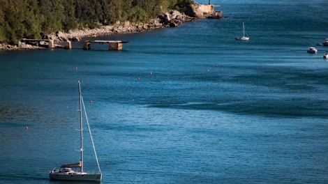 jadran jadransko morje morski mesec trzaski zaliv riba posnetek redkost