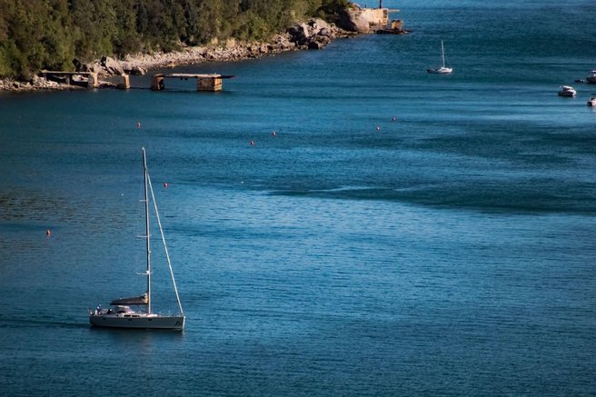 jadran jadransko morje morski mesec trzaski zaliv riba posnetek redkost