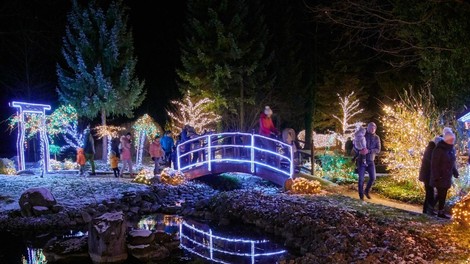 Mozirski gaj park december