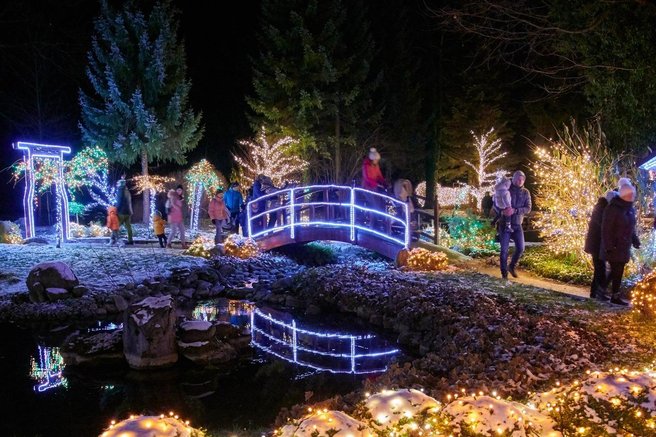 Mozirski gaj park december