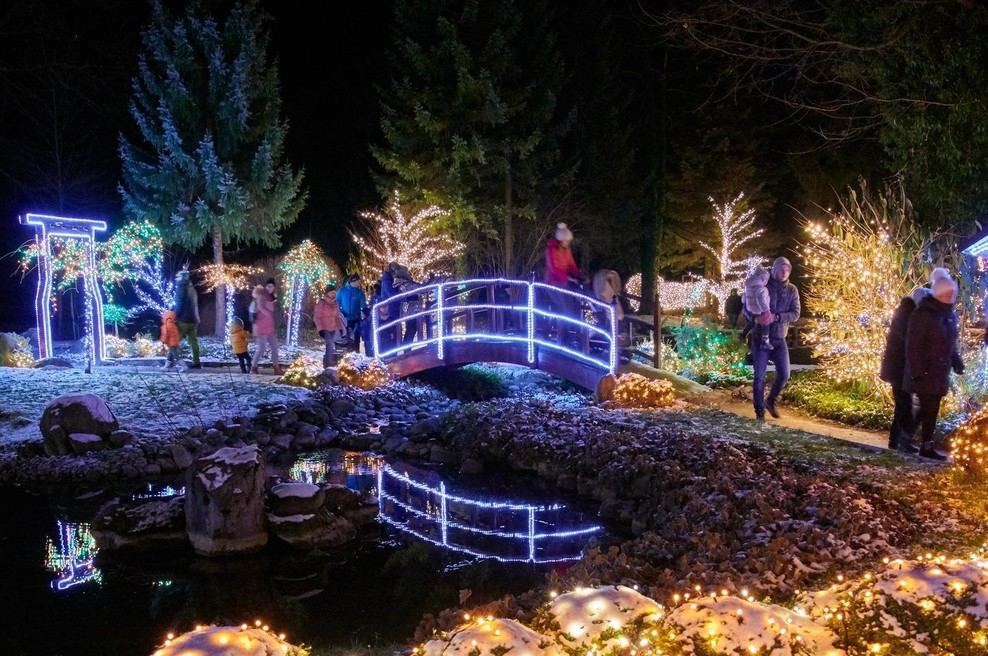 Slovenska rekorderka: letos se lahko pohvalimo z drugo najvišjo božično jelko v Evropi – kje jo lahko vidite? (foto: Facebook/Visit Šaleška)