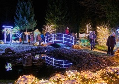 Slovenska rekorderka: letos se lahko pohvalimo z drugo najvišjo božično jelko v Evropi – kje jo lahko vidite?