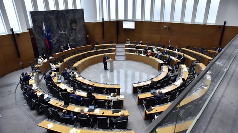 parlament slovenija kako deluje pojasnilo tvoj glas 26