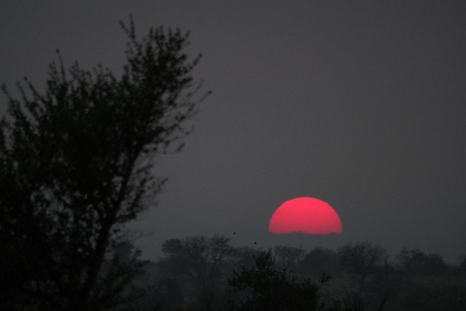 sonce zemlja planet narava soncev mrk avgust 2027