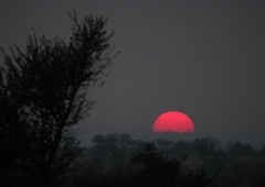 NASA z osupljivim razkritjem: zgodilo se bo čez 2 leti, svet bo obstal, česa takšnega Zemlja v 100 letih še ni doživela