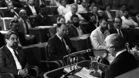 Za radovedne: kratek in jedrnat vodič po slovenski volilni zgodovini