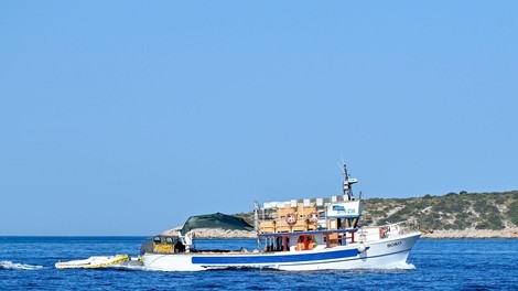 morje split ribic ribarnica lignji ulov dalmacija jadran hrvaska