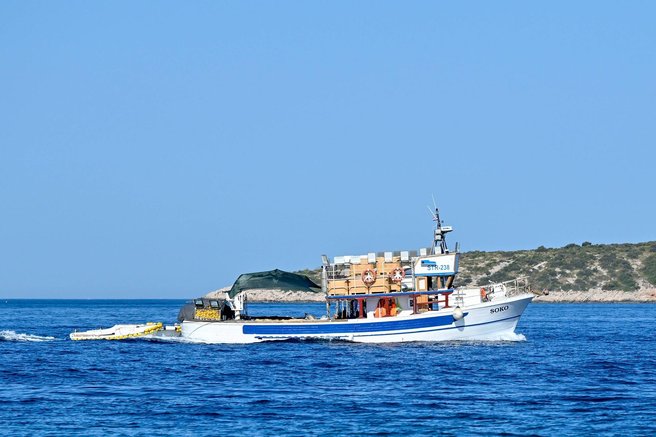 morje split ribic ribarnica lignji ulov dalmacija jadran hrvaska