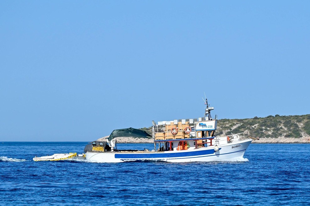 V Splitu na tržnici vsi obnemeli, ko so videli, kaj so iz vode potegnili ribiči: s telefoni so snemali kar vsepovprek (VIDEO) (foto: Profimedia)