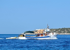 V Splitu na tržnici vsi obnemeli, ko so videli, kaj so iz vode potegnili ribiči: s telefoni so snemali kar vsepovprek (VIDEO)