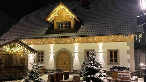 Pino Alpino Kranjska Gora