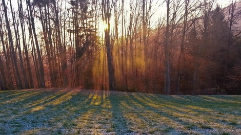 zima, december, sonce