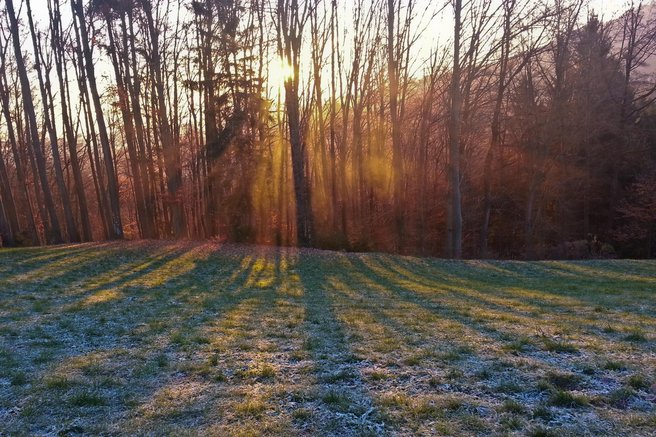 zima, december, sonce