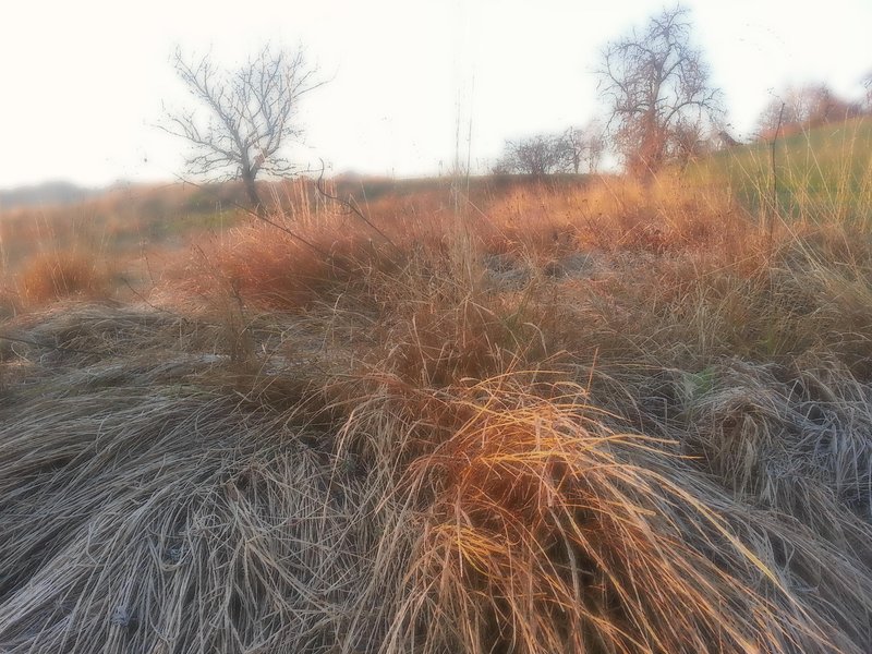 zima, december, sonce