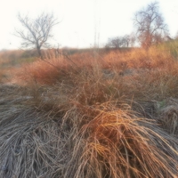 zima, december, sonce