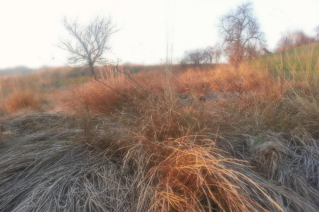 zima, december, sonce