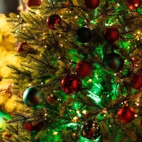 Tradicija ali prestiž? Cene božičnih drevesc razburile številne