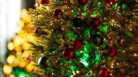 Tradicija ali prestiž? Cene božičnih drevesc razburile številne