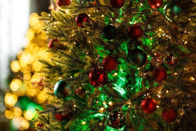 Tradicija ali prestiž? Cene božičnih drevesc razburile številne