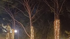 Najbolj čarobne decembrske trenutke smo tudi letos doživeli ob morju: ''Opatija je adventna pravljica!''