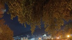 Kip Barkajol - vabi turiste, da se zapeljejo z barko in odkrijejo lepote Opatijske riviere še z druge strani.