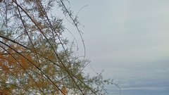 Najbolj čarobne decembrske trenutke smo tudi letos doživeli ob morju: ''Opatija je adventna pravljica!''