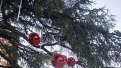 Najbolj čarobne decembrske trenutke smo tudi letos doživeli ob morju: ''Opatija je adventna pravljica!''